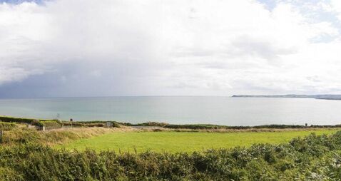 Councillor requests KIMO consult on whale decomposing off the coast of Waterford