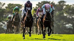 Ndaawi awarded Galway Hurdle in dramatic circumstances