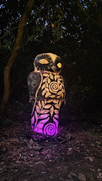 One of the crafty creations dotted around the festival site. Pic: Shannon Sweeney