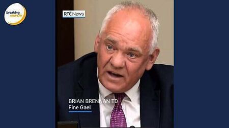 TD who visited Palestinians in Cairo says they 'so much appreciated' Irish solidarity