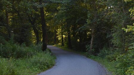 Route selection phase for Carrick-on-Suir to Kilmeaden greenway