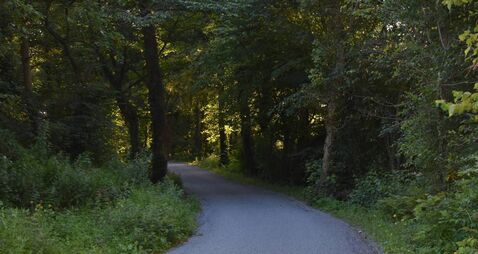 Route selection phase for Carrick-on-Suir to Kilmeaden greenway
