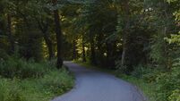 Route selection phase for Carrick-on-Suir to Kilmeaden greenway