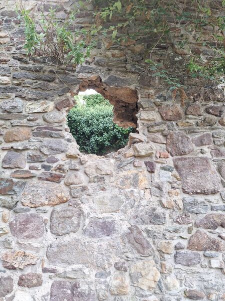 Section of the wall missing. Picture by Cllr Eamon Quinlan