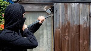 Waterford gardaí issue advice for securing your garden this summer Waterford gardaí issue advice for securing your garden this summer