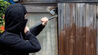 Waterford gardaí issue advice for securing your garden this summer