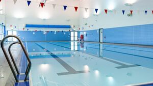 Council urged to dive back into swimming pool idea for County Waterford Council urged to dive back into swimming pool idea for County Waterford