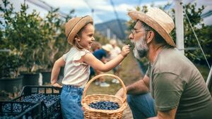 Green Fingers: Our love of blueberries has an Irish connection Green Fingers: Our love of blueberries has an Irish connection