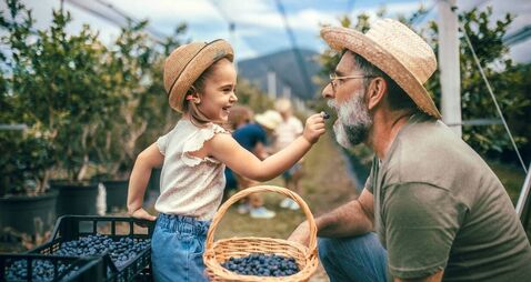 Green Fingers: Our love of blueberries has an Irish connection