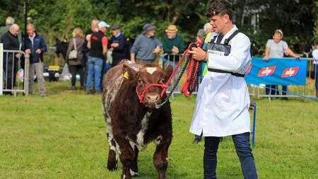 Countdown to Iverk Show 2025 - we've everything you need to know ahead of show day!