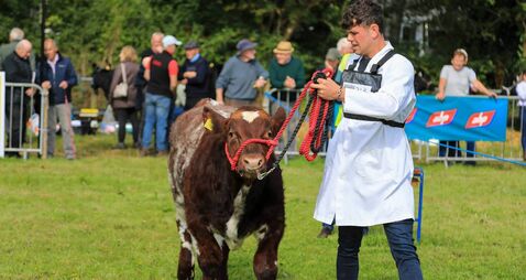 Countdown to Iverk Show 2025 - we've everything you need to know ahead of show day!