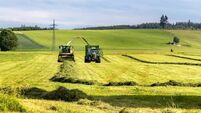 Public consultation on Sectoral Adaptation Plan for agriculture, forestry and seafood