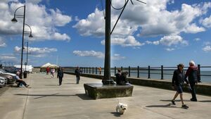 One Waterford beach declared clean while another 'slips' in latest IBAL survey One Waterford beach declared clean while another 'slips' in latest IBAL survey