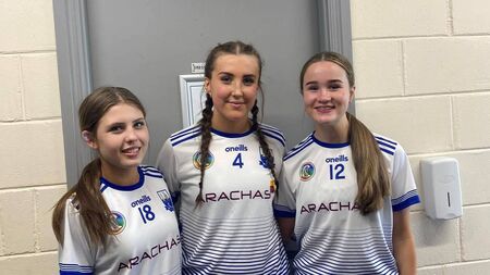 Local Notes: Golf classic, camogie success, Heritage Week events and more