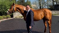 Minister launches new equine identification and traceability booklet
