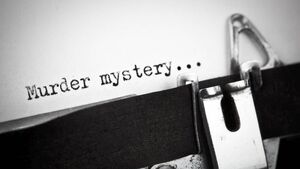 Deadline fast approaching for one-day write-a-crime-novel workshop at Waterford Libraries