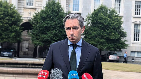 Tánaiste to meet with Ireland India Council over ‘spate of horrific attacks’