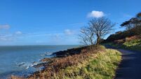 Two Sowerbys Beaked Whales stranded in Waterford pass away