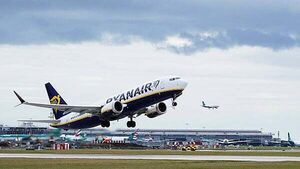 Dublin Airport flights suffer 278 bird strikes despite €600,000 spent on ‘scaring’ measures Dublin Airport flights suffer 278 bird strikes despite €600,000 spent on ‘scaring’ measures