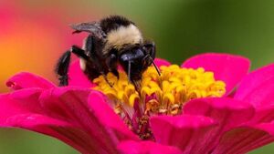 Waterford Council is 'buzzing' about forthcoming workshop