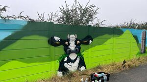 New mural nearing completion in Ferrybank area of Waterford and South Kilkenny New mural nearing completion in Ferrybank area of Waterford and South Kilkenny