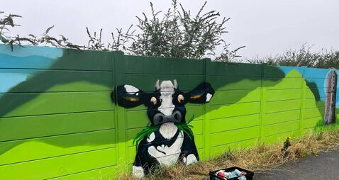 New mural nearing completion in Ferrybank area of Waterford and South Kilkenny 