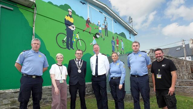 <p>Garda David Browne, Kerri Haberlin, Mayor Seamus Ryan, Superintendent Gavin Hegarty, Sgt. Maureen Neary, Inspector Shay Keevans, and John O'Connell at the newly unveiled mural. Photo: Noel Browne</p>