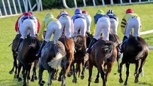 <p>Tramore racing festival day two is upon us. Photo: Noel Browne</p>