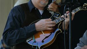 30th Dunmore East Bluegrass Festival starts next weekend in Waterford 30th Dunmore East Bluegrass Festival starts next weekend in Waterford