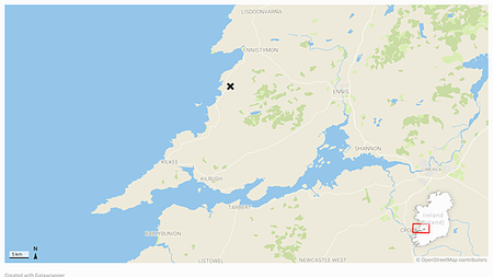 Gardaí appeal for information after four people injured in Clare incident