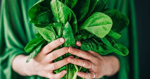 South east food promoters presented with 'Food Studio' opportunity