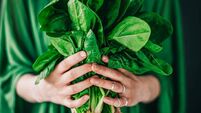 South east food promoters presented with 'Food Studio' opportunity