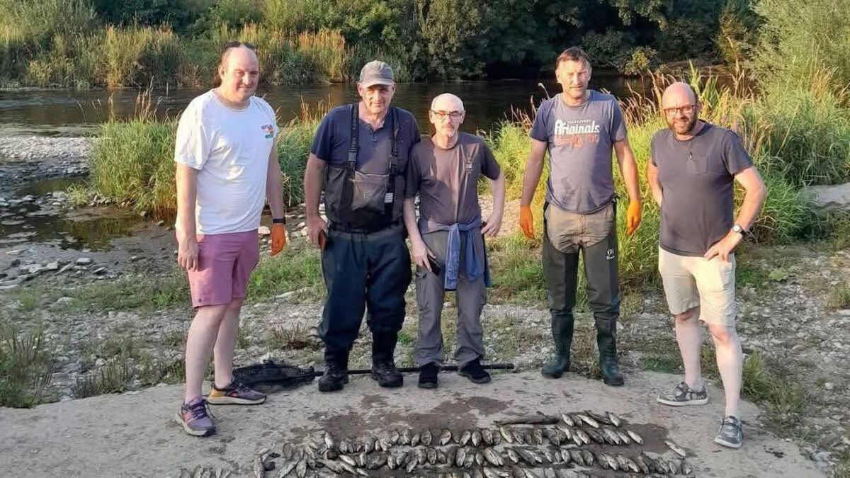 'Positive' meeting held over fish kill incident affecting river that runs through County Waterford