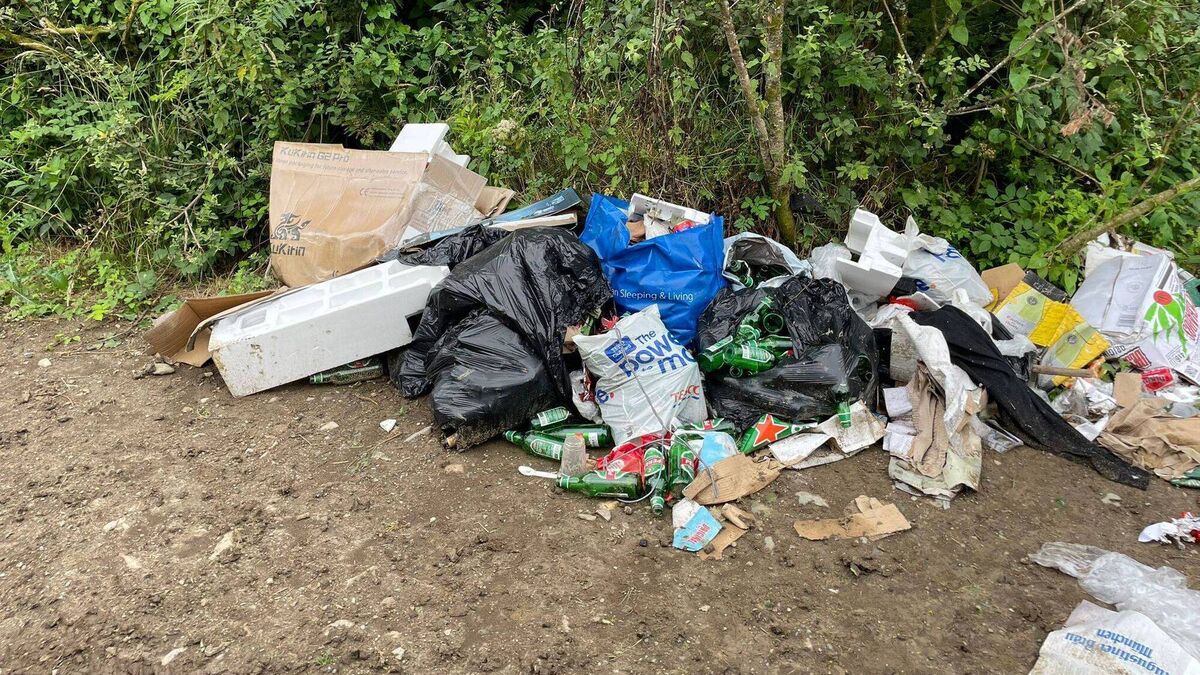 Fine issued to city woman over illegal dumping on outskirts of Waterford city