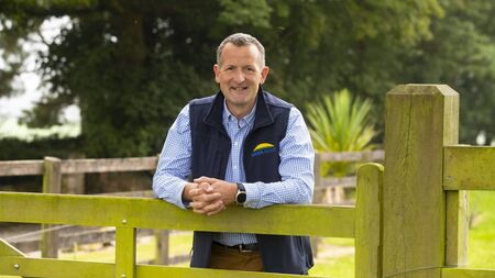 Waterford's Dawn Meats poised to invest NZ$250 million in New Zealand-based lamb retail packer