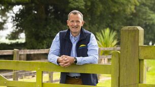 <p>Niall Browne, CEO of Dawn Meats.</p>