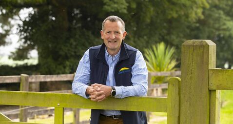 Waterford's Dawn Meats poised to invest NZ$250 million in New Zealand-based lamb retail packer