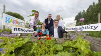 What to look out for at this year’s Harvest Festival in Waterford