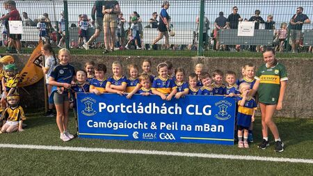 Local Notes: Sympathies, Portlaw Heritage Centre, GAA and soccer news and more