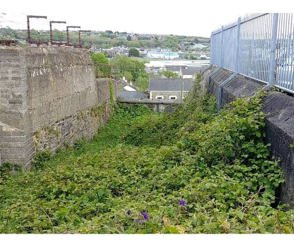 The Top of the City Community Garden was once a piece of overgrown waste ground