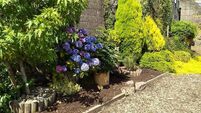 'Top of the City' garden farewell to take place in Waterford