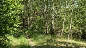Emergency services called to assist walkers on Waterford/Tipperary border