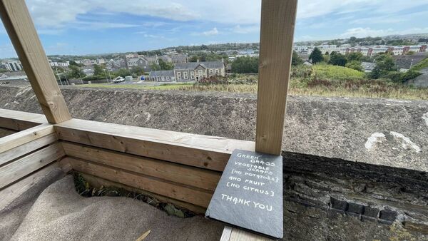 'Little piece of heaven' - Top of the City Community Garden celebrate founder