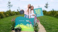 Shortlist of Ireland’s Greenest Places 2025 announced