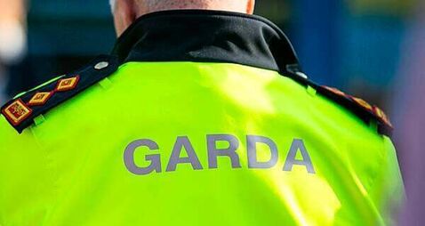 Man (20s) charged with alleged robbery of business in Co Dublin