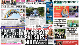 Gardaí appeal for witnesses after gunshots fired in Limerick