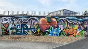 Second AED is installed in County Waterford town