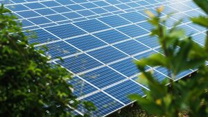 Local renewable energy company nominated for multiple national awards Local renewable energy company nominated for multiple national awards