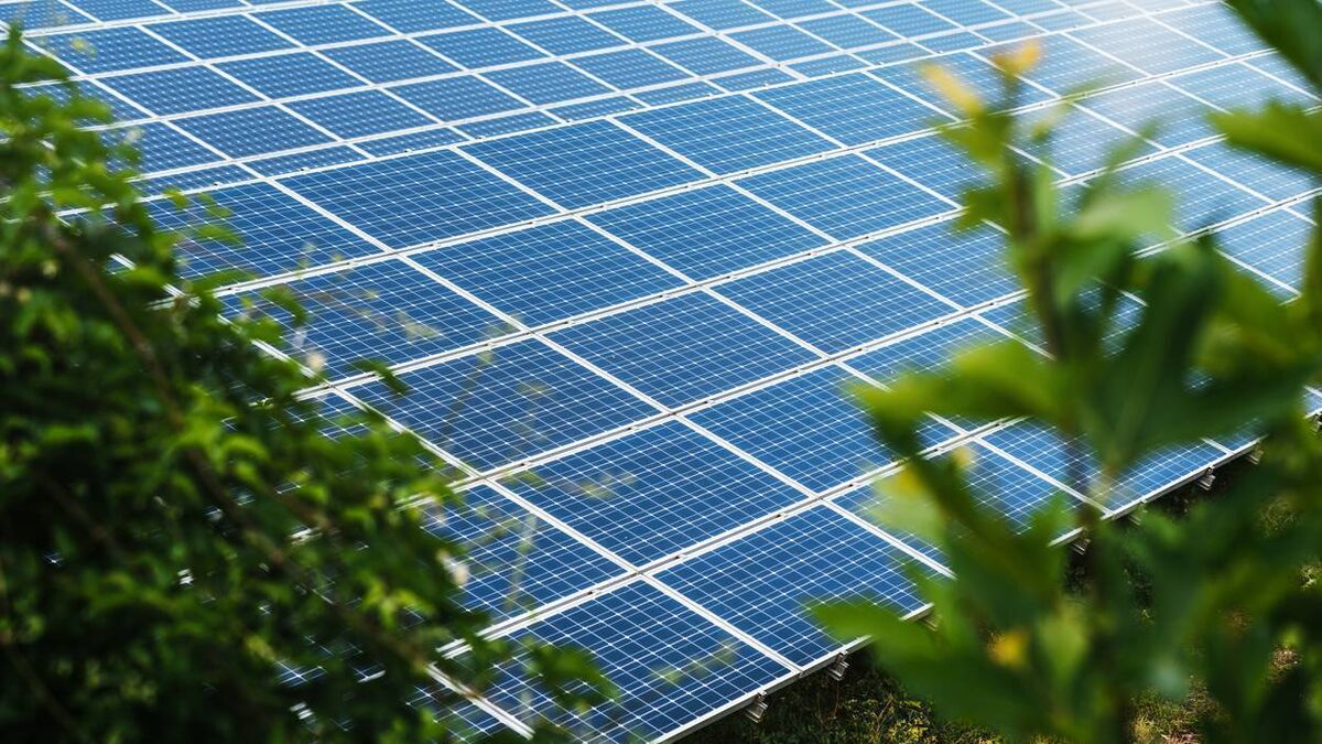Local renewable energy company nominated for multiple national awards