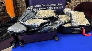 Man arrested and €192,000 cannabis seized in Dublin city Man arrested and €192,000 cannabis seized in Dublin city